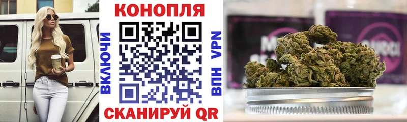 Марихуана конопля Володарск